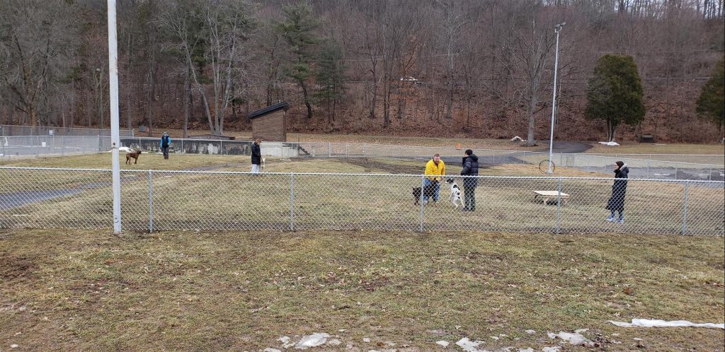 Village of Painted Post Craig Park Dog Park Large Dog area opened February 16-17
