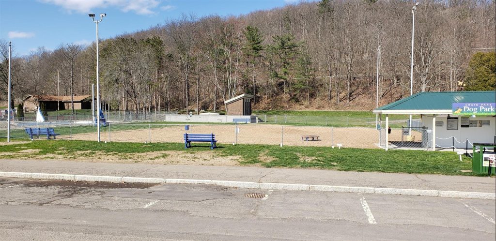 Village of Painted Post Craig Park Dog Park Large Dog area April 11, 2020